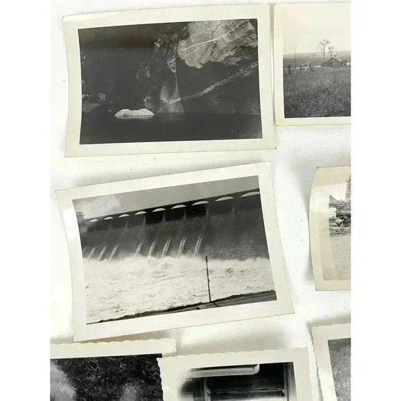 VTG 27 B&W Photographs Travel Animals Wildlife Grave Cars Farming 40's Ephemera - Picture 9 of 16